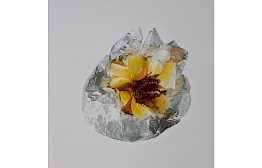  by Michel Haddi