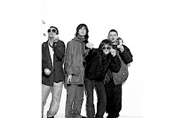 Stone Roses by Michel Haddi